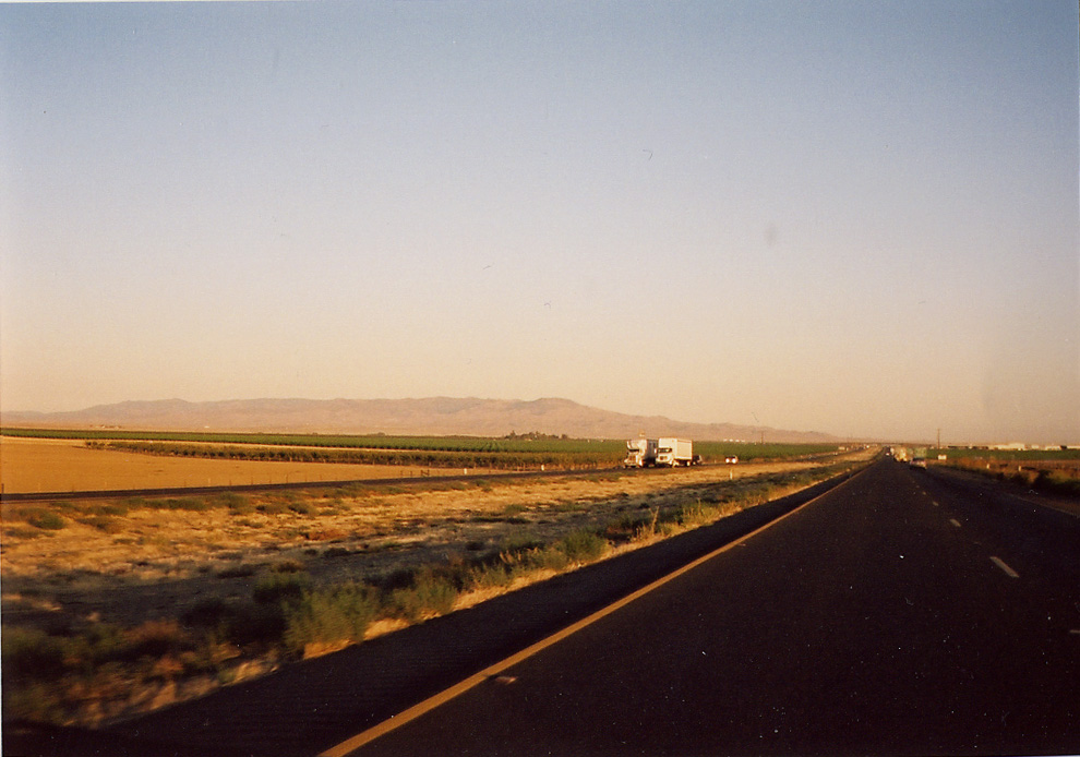 phono archives / 2_d0096450_15363194.jpg