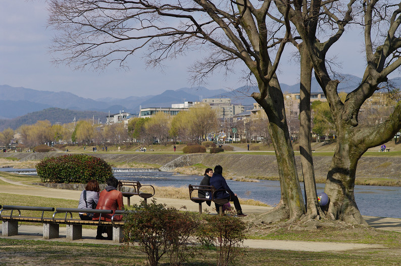 鴨川ワンコ散歩．．．_f0152550_19215100.jpg