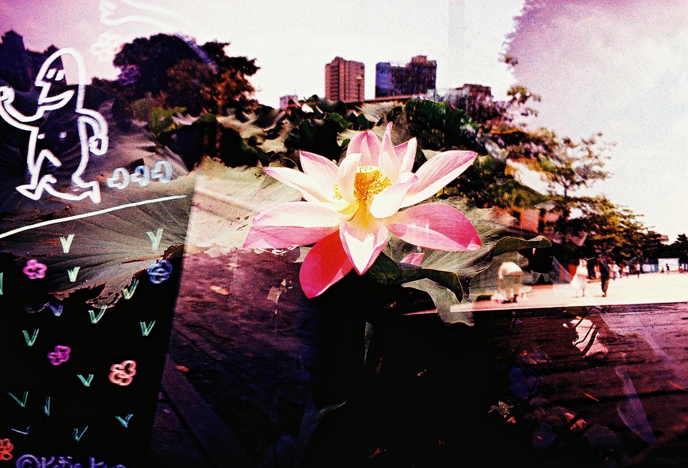f0013652_22512583.jpg