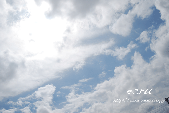 d0113758_118315.gif