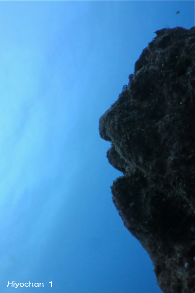 e0158261_656913.jpg