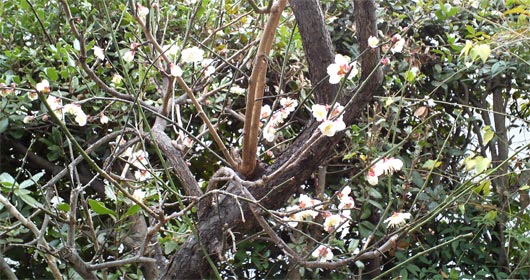 b0196570_1627050.jpg