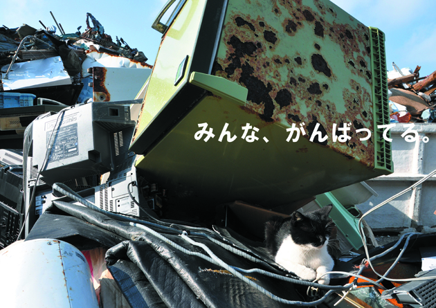 被災地写真展_e0171573_23422166.jpg