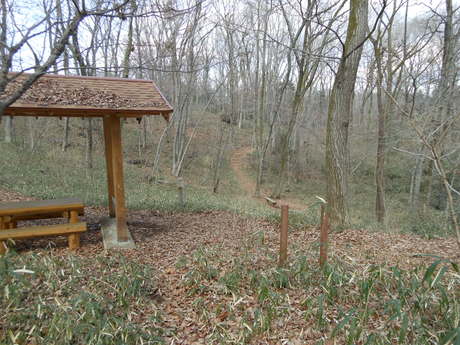 c0206177_203375.jpg