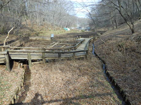 c0206177_2042897.jpg