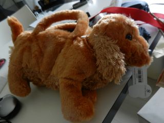 2012年3月11日 こんな午後だった_b0098584_15321650.jpg