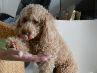 2012年3月11日 こんな午後だった_b0098584_15333049.jpg