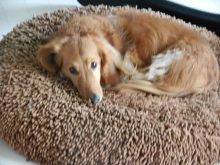 2012年3月11日 こんな午後だった_b0098584_1533968.jpg