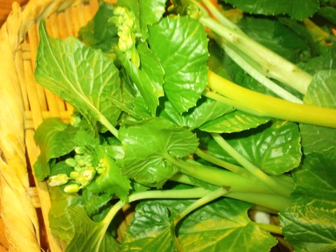 b0162386_0525678.jpg