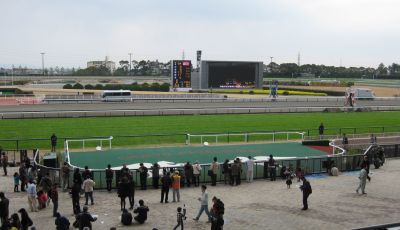 中京競馬場へ行きました（3月11日）_d0021786_17352664.jpg