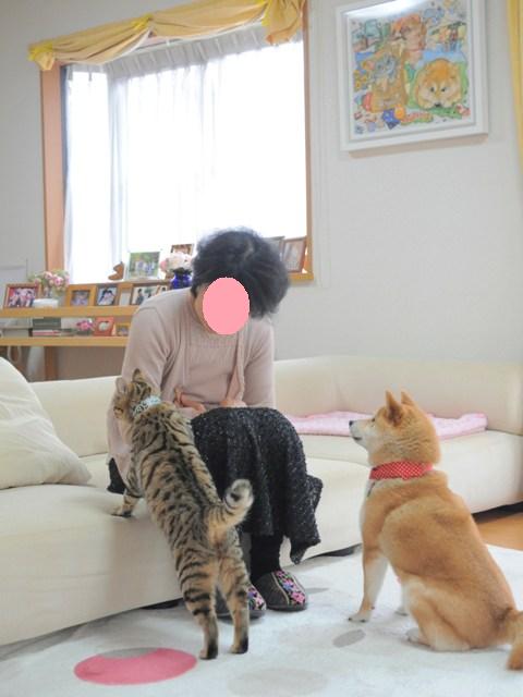 ようこそ佐倉へ!!_a0126590_22221047.jpg