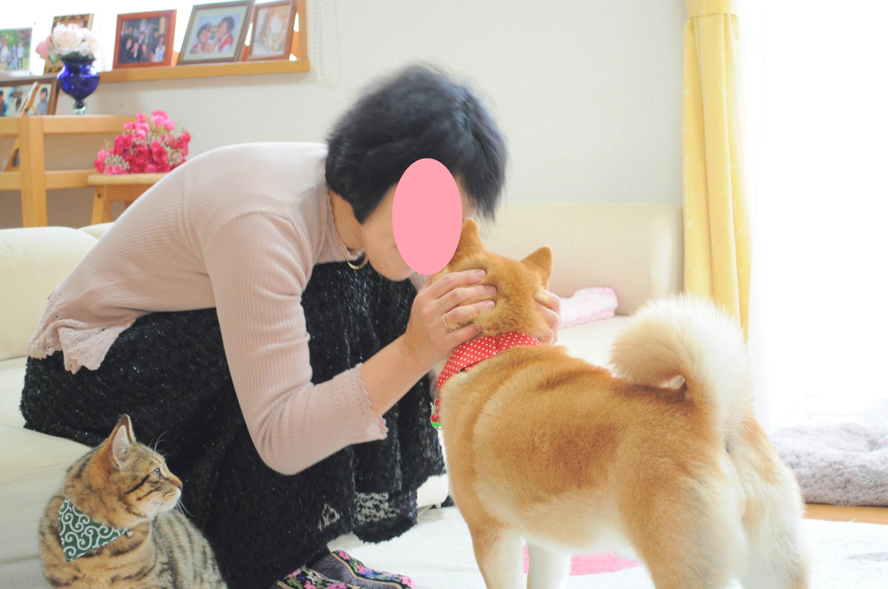ようこそ佐倉へ!!_a0126590_2236398.jpg