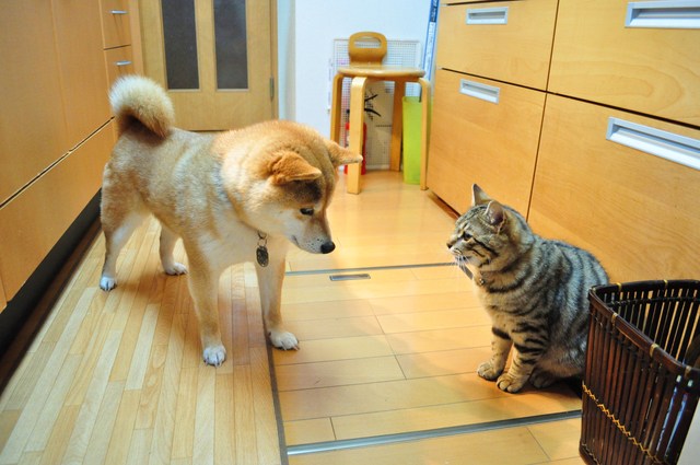 いつも側にいてくれる_a0126590_2461388.jpg