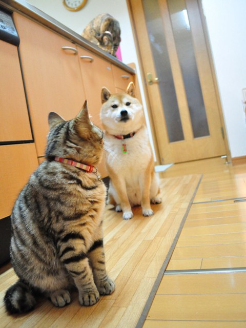 いつも側にいてくれる_a0126590_2475086.jpg