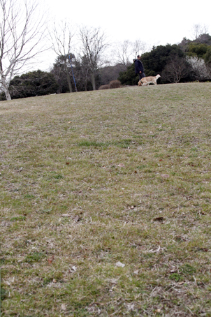 c0096393_2252035.jpg