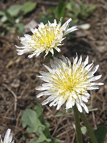 d0004393_18143950.jpg