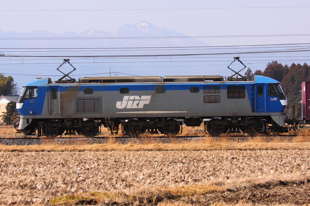 線路端でコンテナ車の観察です。_c0035094_14322060.jpg