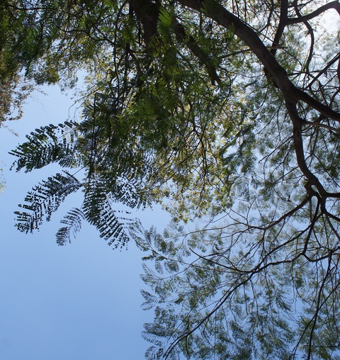 c0222897_22121361.jpg