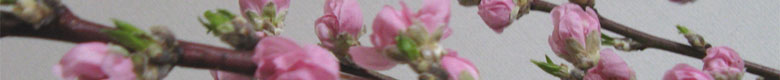 d0133199_14183454.jpg