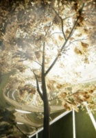 ニューヨークに今度は地下公園(LowLine)?! しかもキックスターターで10万ドルのファンディング成功_b0007805_1524546.jpg