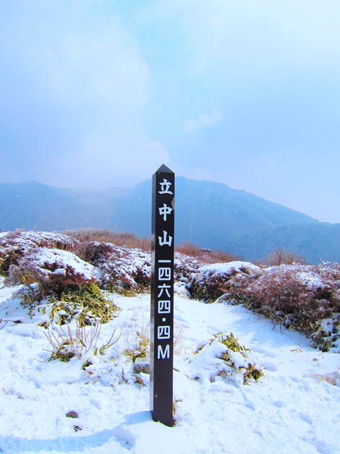 a0097006_2246716.jpg