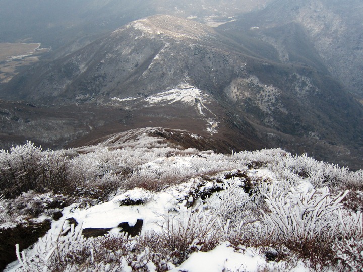 a0097006_22502770.jpg