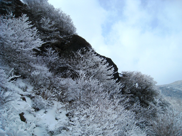 a0097006_22525142.jpg