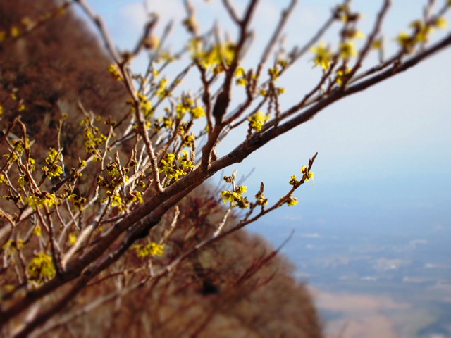 a0097006_2303832.jpg