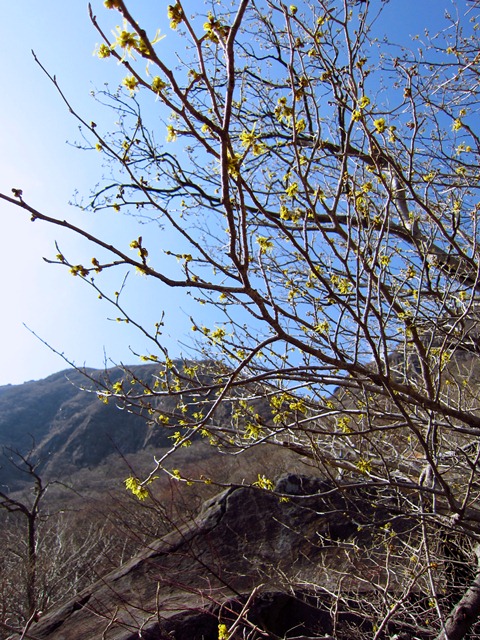 a0097006_2305442.jpg