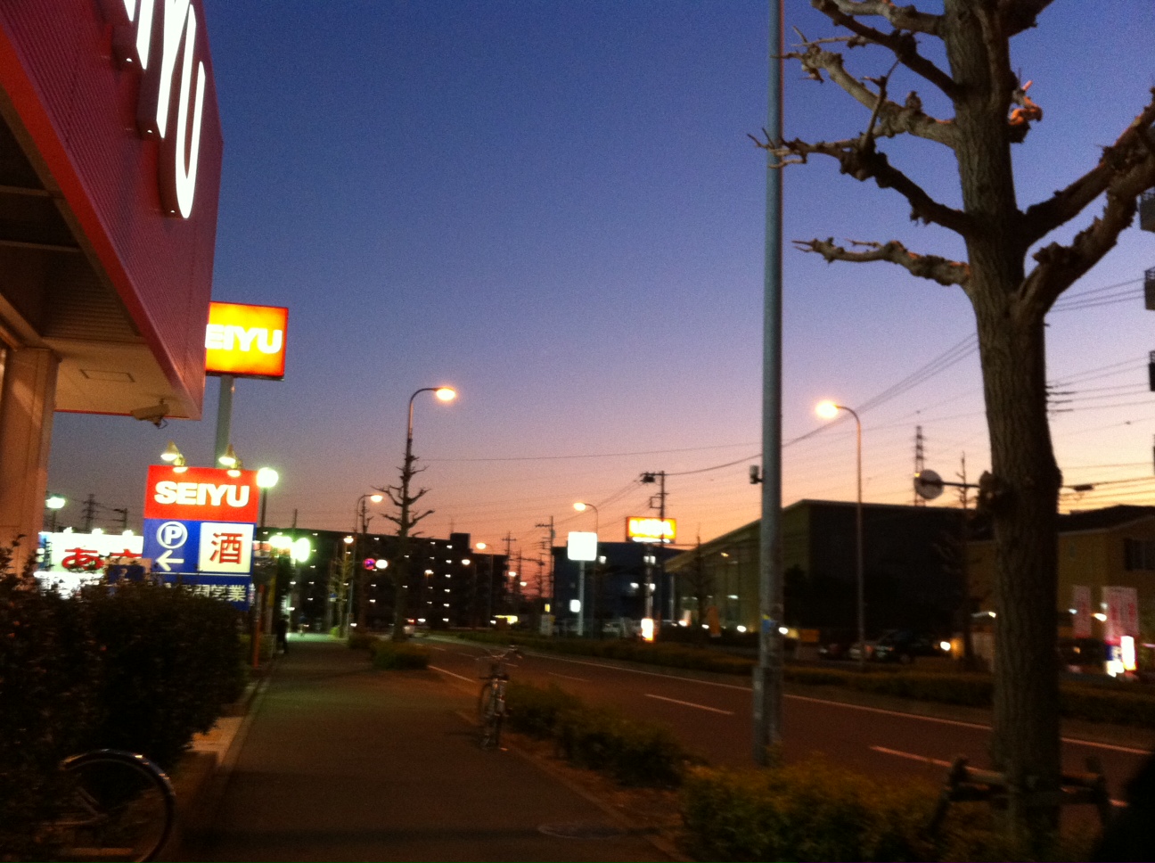 a0002209_21555254.jpg