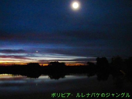 b0051109_84707.jpg