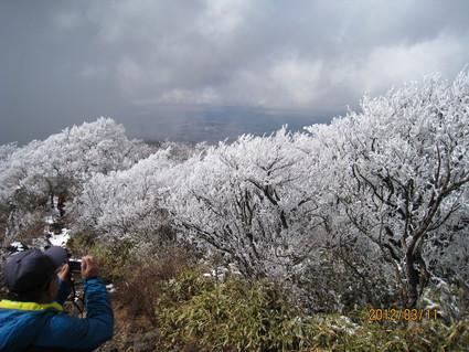 春はどこ？_b0112509_16335240.jpg