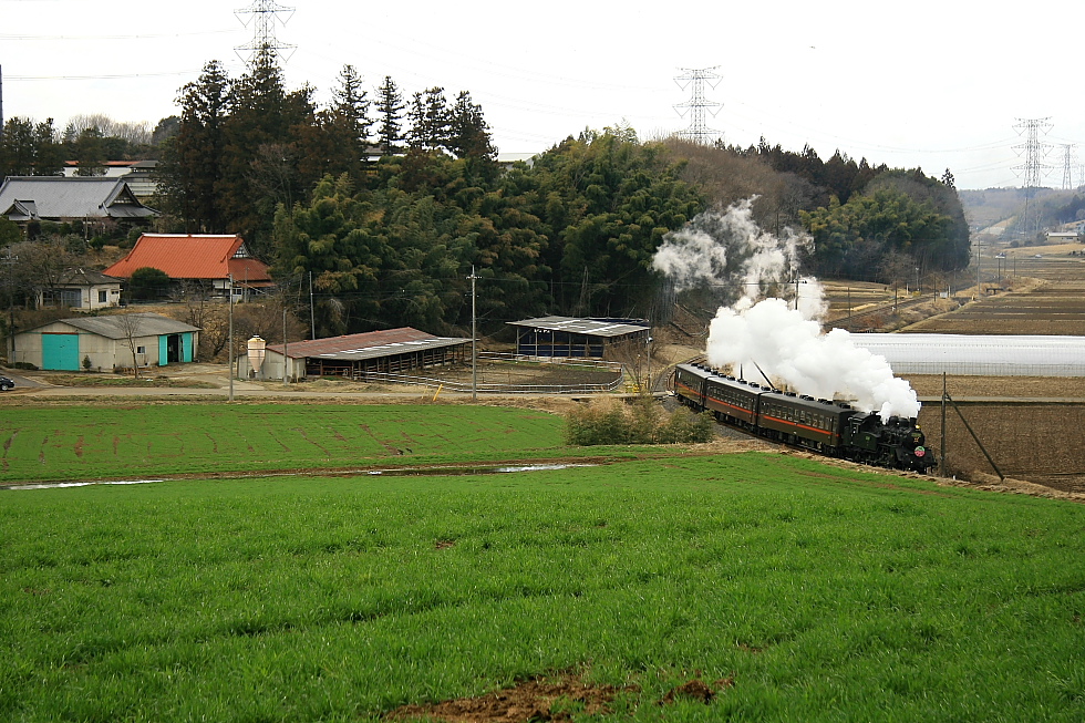 青草茂る - 2012年・真岡 -_b0190710_21173358.jpg