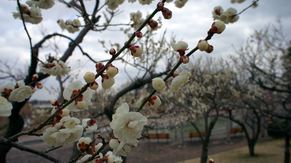 b0244811_2033275.jpg