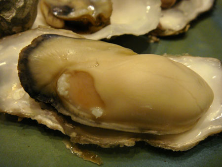 c0115019_12243957.jpg
