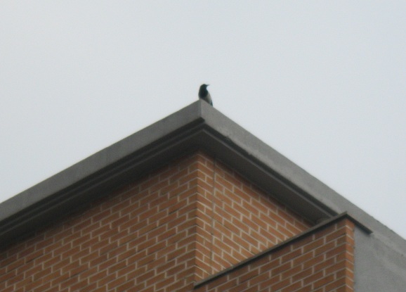 e0201021_31877.jpg