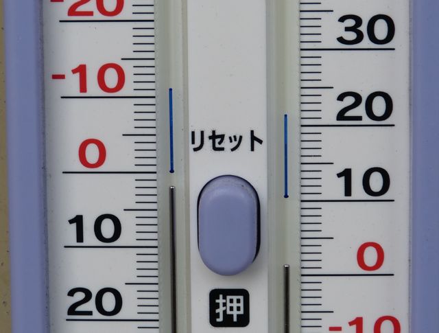 a0188023_823797.jpg