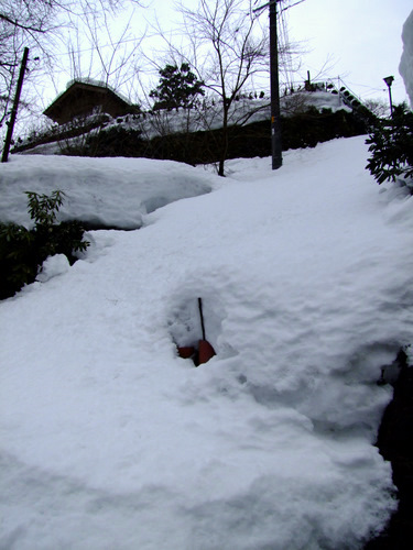 「真冬の山陰を巡る旅2012 三徳山 国宝 投入堂と三朝温泉」_a0000029_940965.jpg