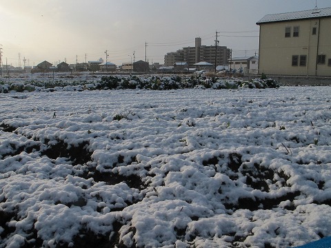 雪!_c0077531_1711083.jpg