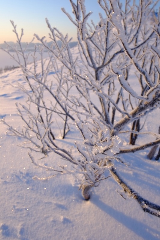 厳冬の美幌峠_f0050534_1134138.jpg