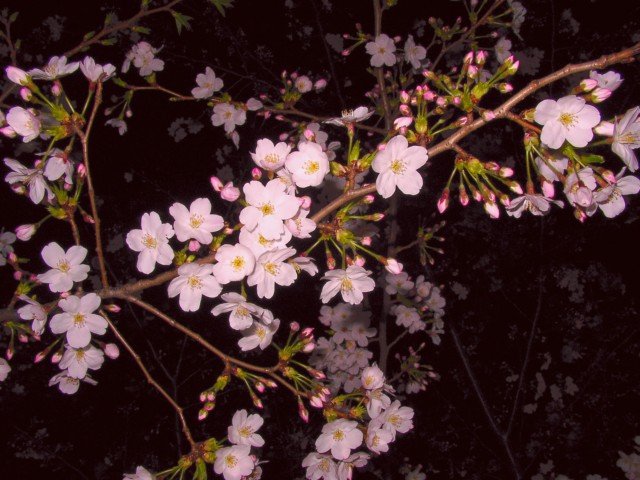 心が晴れないときは悩まないこと!_b0213435_21441962.jpg