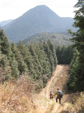 ５０１回目の山歩きは　筑豊の牛斬山～香春岳　三ノ岳_c0077338_5532774.jpg