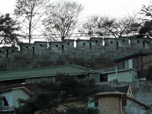 b0088340_45166.jpg