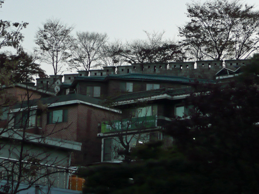 b0088340_46411.jpg