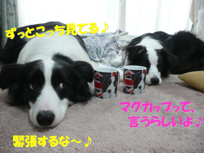 c0147241_8191337.jpg