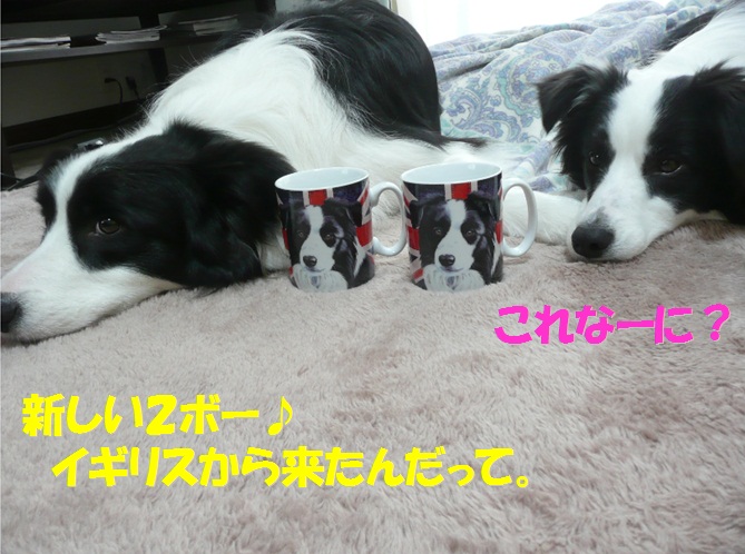 c0147241_819437.jpg