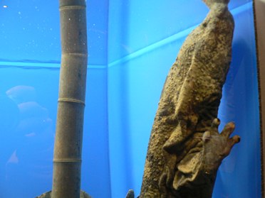 c0180145_02293.jpg