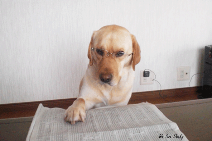 b0198051_22535057.gif