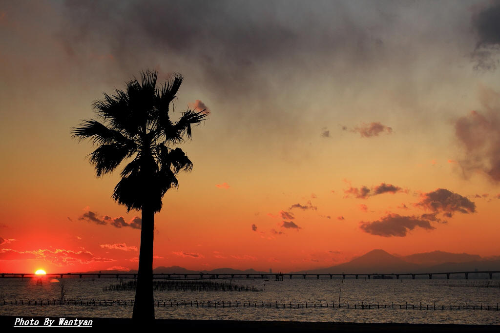 袖ヶ浦海浜公園からの夕景　　　2012－03－12　更新_e0229455_0204570.jpg