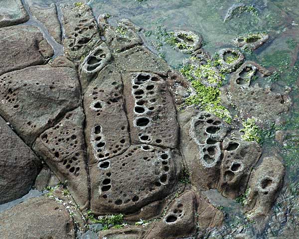 e0035757_17553681.jpg